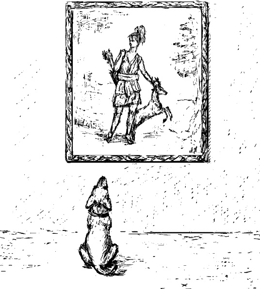 Иллюстрация к книге — Cобака. Полное руководство по дрессировке и уходу [i_046.jpg]