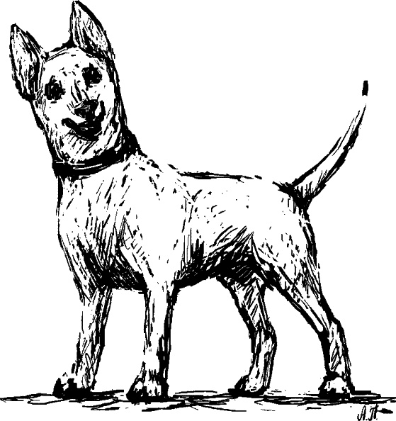 Иллюстрация к книге — Cобака. Полное руководство по дрессировке и уходу [i_048.jpg]