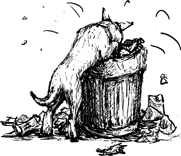 Иллюстрация к книге — Cобака. Полное руководство по дрессировке и уходу [i_055.jpg]