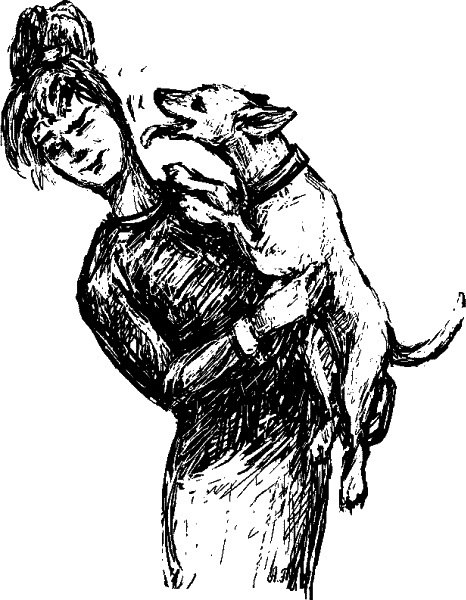 Иллюстрация к книге — Cобака. Полное руководство по дрессировке и уходу [i_060.jpg]