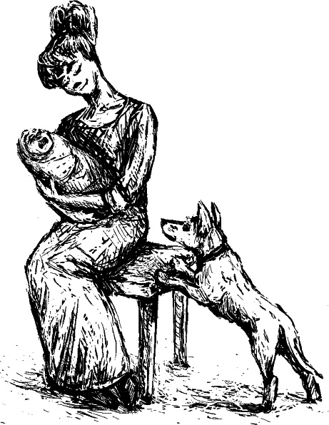 Иллюстрация к книге — Cобака. Полное руководство по дрессировке и уходу [i_062.jpg]