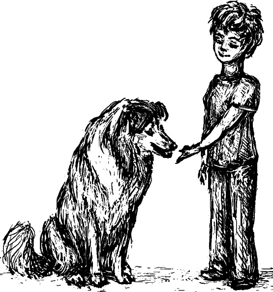 Иллюстрация к книге — Cобака. Полное руководство по дрессировке и уходу [i_063.jpg]