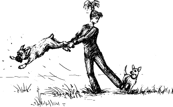 Иллюстрация к книге — Cобака. Полное руководство по дрессировке и уходу [i_066.jpg]