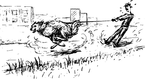 Иллюстрация к книге — Cобака. Полное руководство по дрессировке и уходу [i_068.jpg]