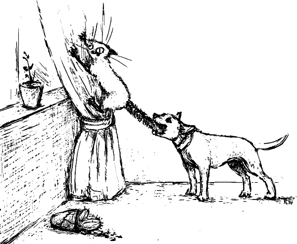 Иллюстрация к книге — Cобака. Полное руководство по дрессировке и уходу [i_069.jpg]