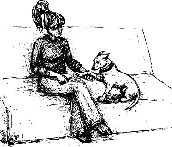 Иллюстрация к книге — Cобака. Полное руководство по дрессировке и уходу [i_070.jpg]