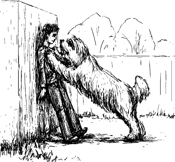 Иллюстрация к книге — Cобака. Полное руководство по дрессировке и уходу [i_074.jpg]