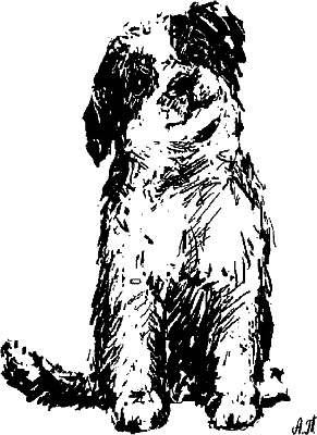 Иллюстрация к книге — Cобака. Полное руководство по дрессировке и уходу [i_078.jpg]