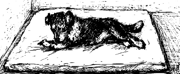 Иллюстрация к книге — Cобака. Полное руководство по дрессировке и уходу [i_082.jpg]