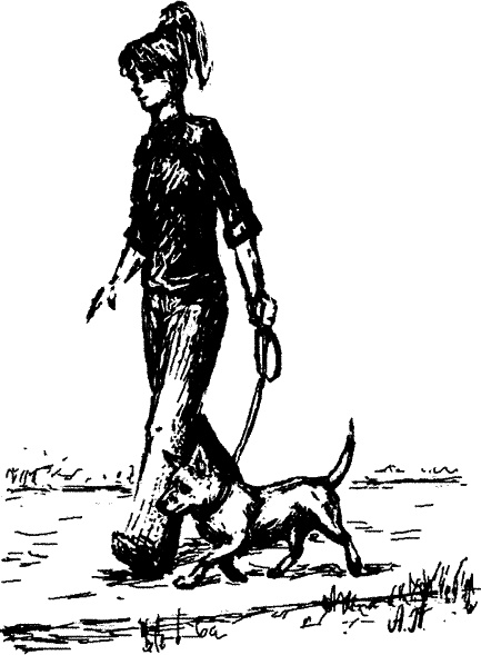 Иллюстрация к книге — Cобака. Полное руководство по дрессировке и уходу [i_085.jpg]