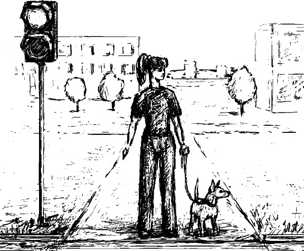 Иллюстрация к книге — Cобака. Полное руководство по дрессировке и уходу [i_086.jpg]