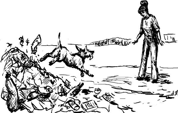 Иллюстрация к книге — Cобака. Полное руководство по дрессировке и уходу [i_088.jpg]