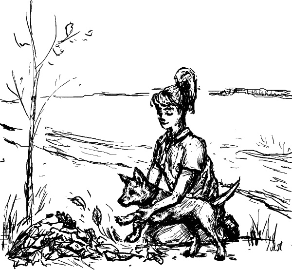 Иллюстрация к книге — Cобака. Полное руководство по дрессировке и уходу [i_097.jpg]