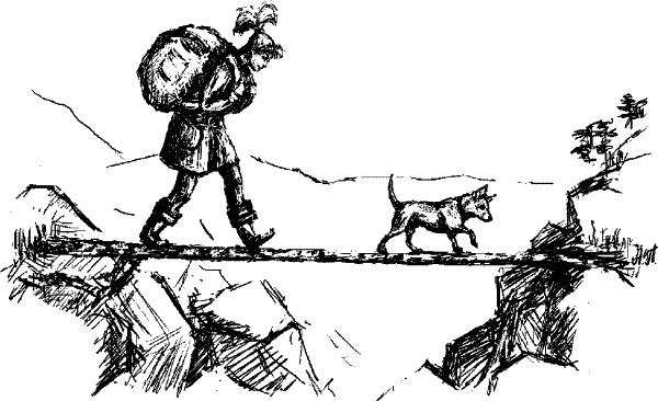 Иллюстрация к книге — Cобака. Полное руководство по дрессировке и уходу [i_099.jpg]