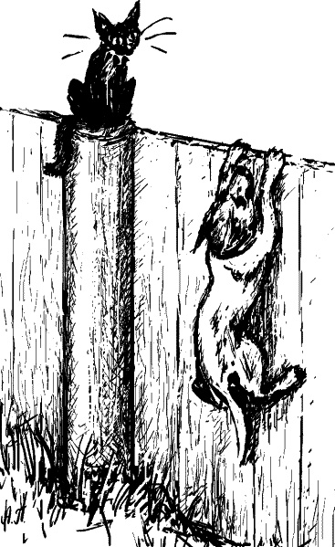 Иллюстрация к книге — Cобака. Полное руководство по дрессировке и уходу [i_102.jpg]