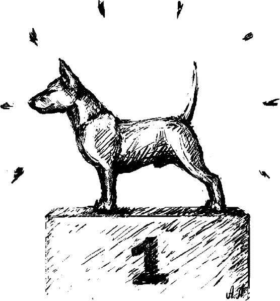 Иллюстрация к книге — Cобака. Полное руководство по дрессировке и уходу [i_105.jpg]