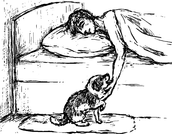 Иллюстрация к книге — Cобака. Полное руководство по дрессировке и уходу [i_111.jpg]