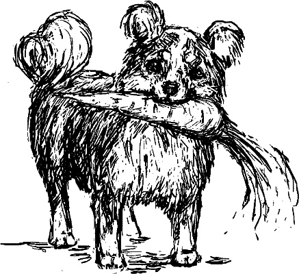 Иллюстрация к книге — Cобака. Полное руководство по дрессировке и уходу [i_114.jpg]