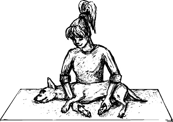 Иллюстрация к книге — Cобака. Полное руководство по дрессировке и уходу [i_133.jpg]