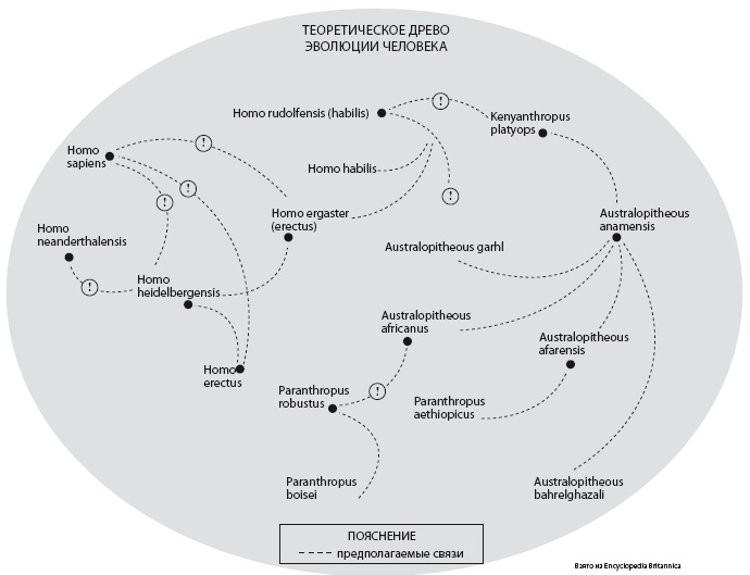 Иллюстрация к книге — Эволюция и подсознание. Как наше прошлое определяет будущее. Человек – дитя вселенной [i_002.jpg]