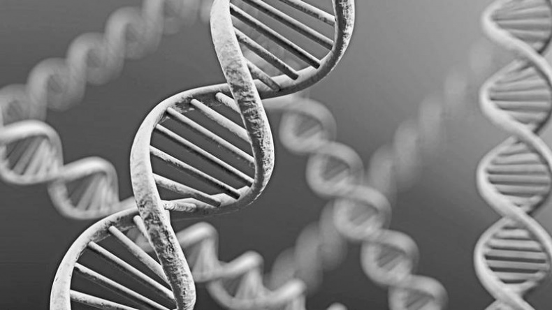 Иллюстрация к книге — Мифы о микробах и вирусах. Как живет наш внутренний мир [i_014.jpg]