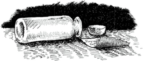 Иллюстрация к книге — Питер Нимбл и волшебные глаза [i_006.jpg]