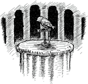 Иллюстрация к книге — Питер Нимбл и волшебные глаза [i_015.jpg]