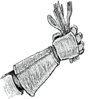 Иллюстрация к книге — Питер Нимбл и волшебные глаза [i_020.jpg]