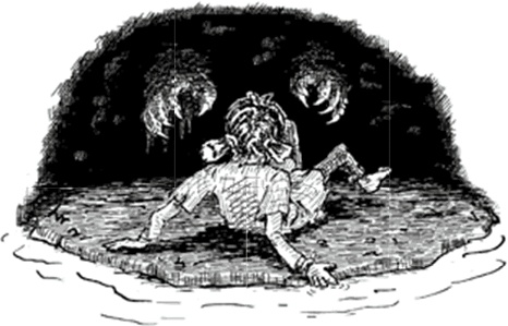 Иллюстрация к книге — Питер Нимбл и волшебные глаза [i_028.jpg]