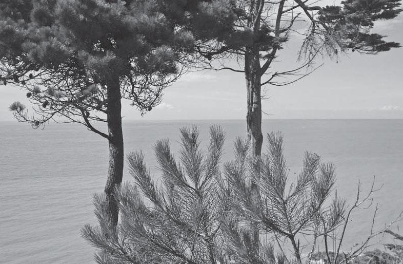 Иллюстрация к книге — Я – Кутюрье. Кристиан Диор и Я. [i_085.jpg]