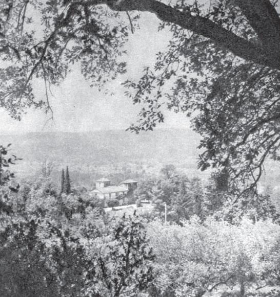 Иллюстрация к книге — Я – Кутюрье. Кристиан Диор и Я. [i_191.jpg]