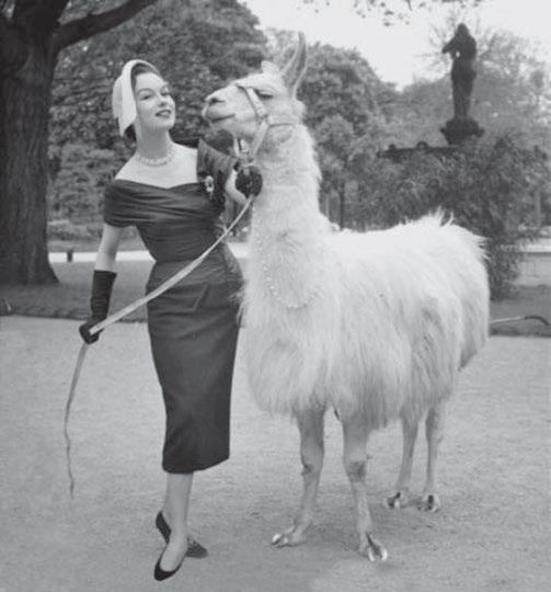 Иллюстрация к книге — Я – Кутюрье. Кристиан Диор и Я. [i_193.jpg]