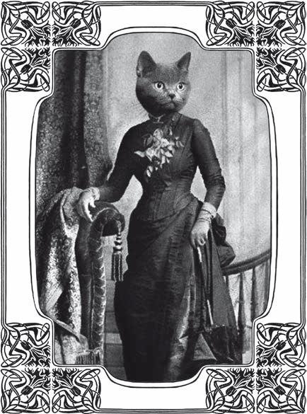 Иллюстрация к книге — Джек-потрошитель с Крещатика [i_026.jpg]