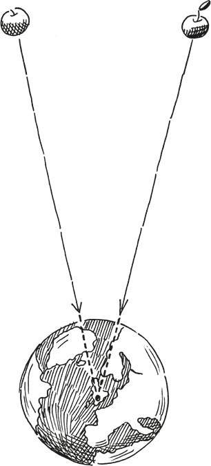 Иллюстрация к книге — Самая большая ошибка Эйнштейна [i_010.jpg]