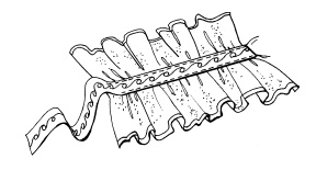 Иллюстрация к книге — Пэчворк. Лоскутный шедевр за 3 дня [i_100.jpg]