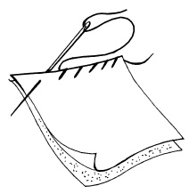 Иллюстрация к книге — Пэчворк. Лоскутный шедевр за 3 дня [i_110.jpg]