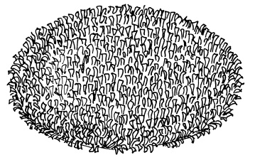 Иллюстрация к книге — Пэчворк. Лоскутный шедевр за 3 дня [i_170.jpg]