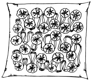 Иллюстрация к книге — Пэчворк. Лоскутный шедевр за 3 дня [i_187.jpg]