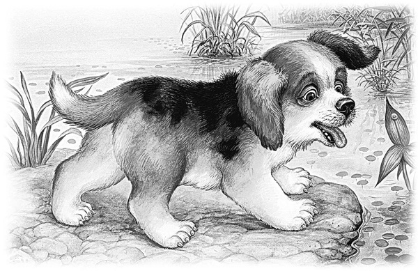 Иллюстрация к книге — Сказки и рассказы [_004copy.jpg]