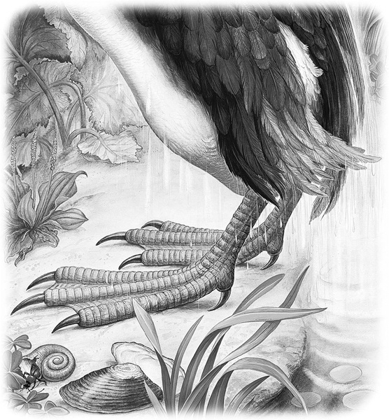 Иллюстрация к книге — Сказки и рассказы [_029.jpg]