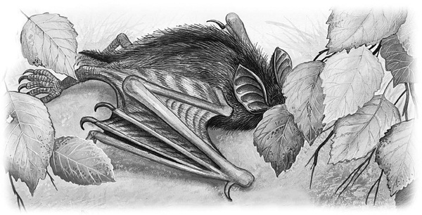 Иллюстрация к книге — Сказки и рассказы [_030copy.jpg]