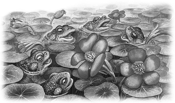 Иллюстрация к книге — Сказки и рассказы [_034copy.jpg]