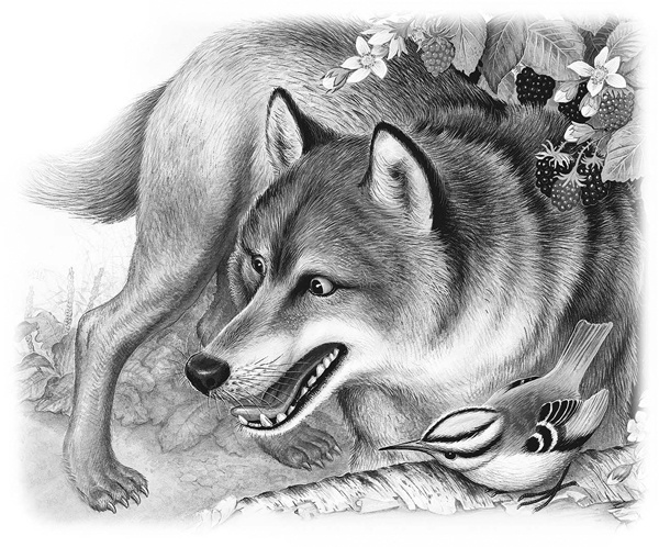 Иллюстрация к книге — Сказки и рассказы [_042copy.jpg]