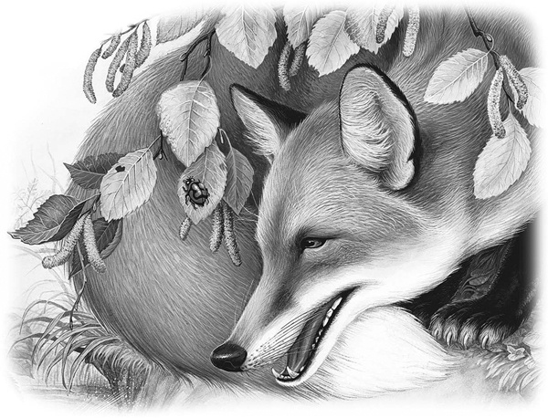 Иллюстрация к книге — Сказки и рассказы [_045copy.jpg]