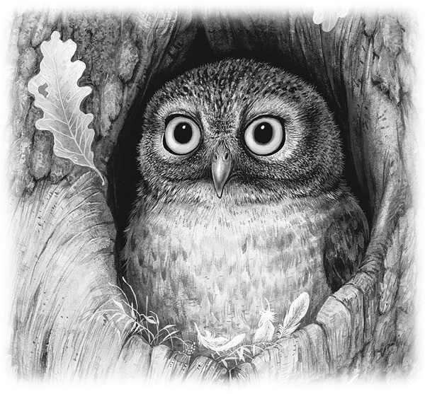 Иллюстрация к книге — Сказки и рассказы [_059copy.jpg]