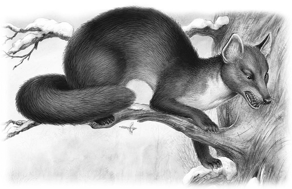 Иллюстрация к книге — Сказки и рассказы [_062copy.jpg]