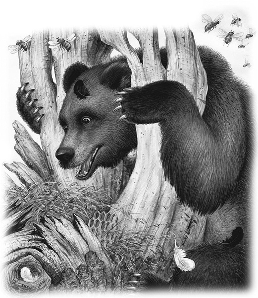 Иллюстрация к книге — Сказки и рассказы [_065.jpg]