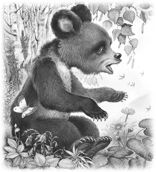 Иллюстрация к книге — Сказки и рассказы [_066.jpg]