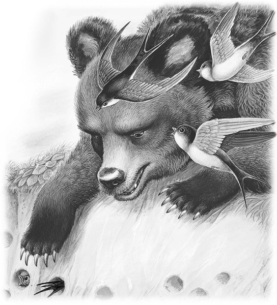 Иллюстрация к книге — Сказки и рассказы [_073.jpg]