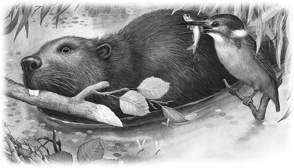 Иллюстрация к книге — Сказки и рассказы [_080copy.jpg]